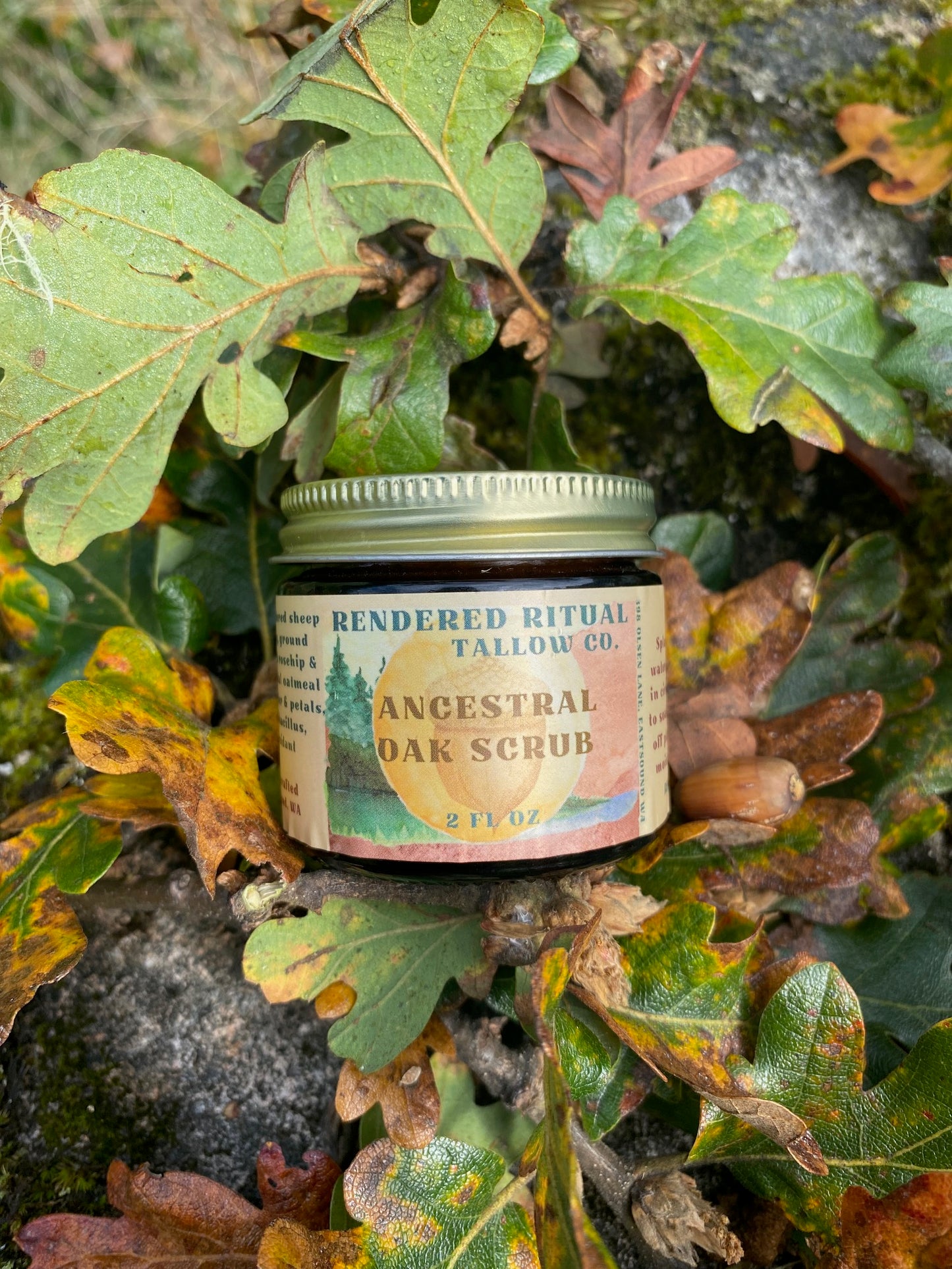 Ancestral Oak Tallow Scrub