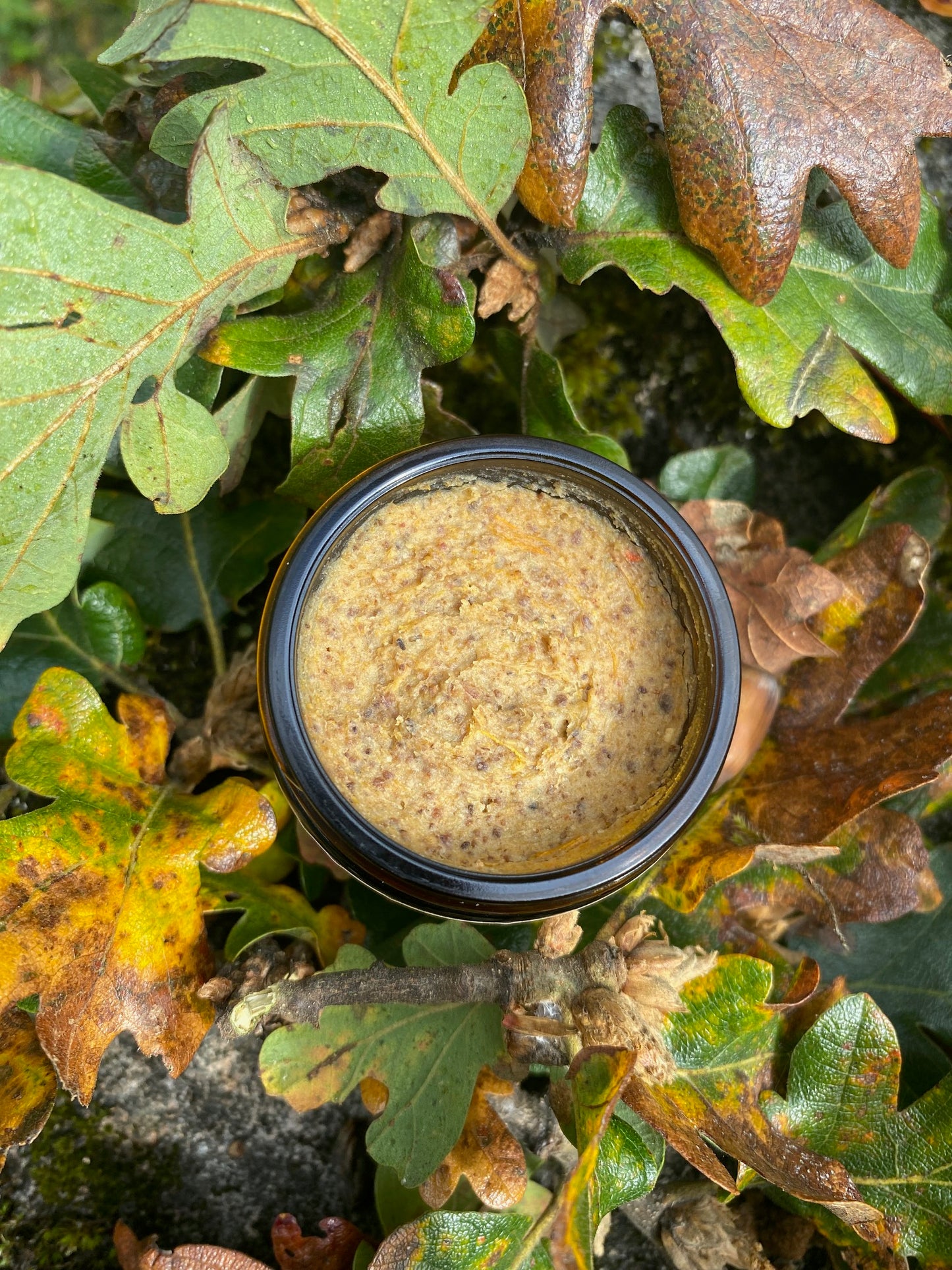Ancestral Oak Tallow Scrub